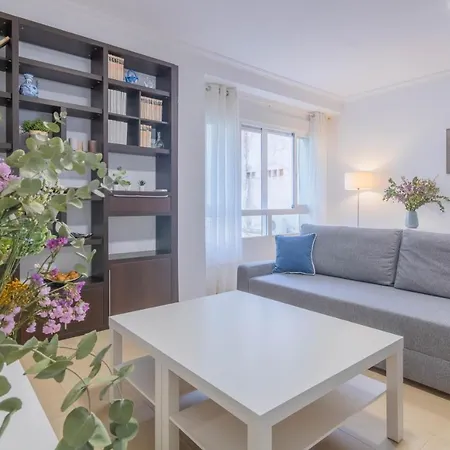 Apartamento Gran Teatro Centro